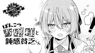 ぽんこつお嬢様と鈍感貧乏くん