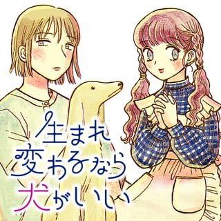 生まれ変わるなら犬がいい