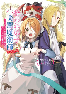 拾われ弟子と美麗魔術師～ものぐさ師匠の靴下探しは今日も大変です～@COMIC