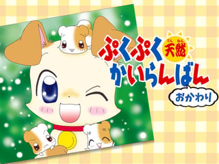 ぷくぷく天然かいらんばん おかわり