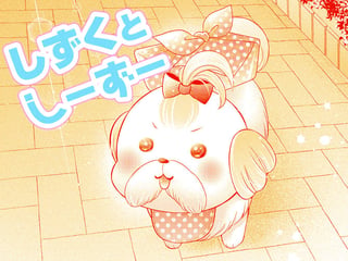 しずくとしーずー