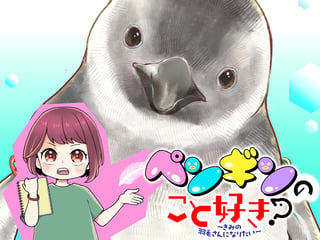 ペンギンのこと好き？～きみの羽毛さんになりたい～