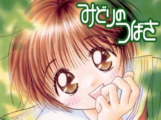 みどりのつばさ