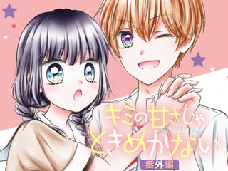 キミの甘さじゃときめかない 番外編