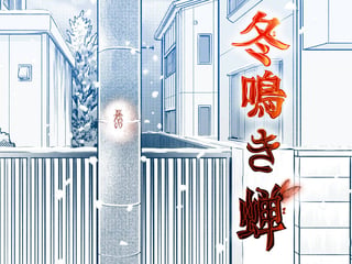 冬鳴き蝉