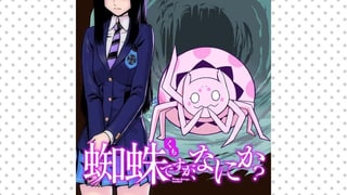 蜘蛛ですが、なにか？