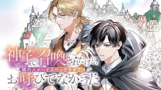 神子で召喚されたけど、隣の人がハイスペックすぎてお呼びでなかった