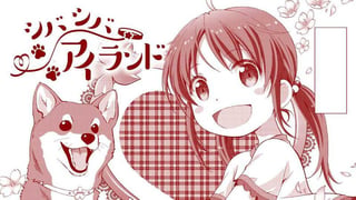 シバシバアイランド