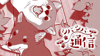 シバシバ通信