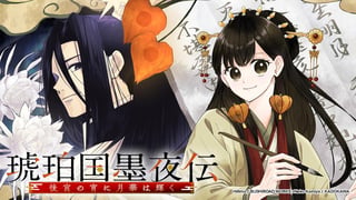 琥珀国墨夜伝 後宮の宵に月華は輝く
