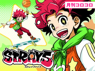 STRAY 5