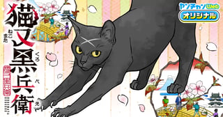猫又黒兵衛