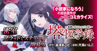 塔の医学録 ～悪魔に仕えたメイドの記～