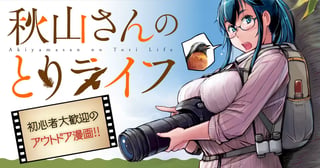 秋山さんのとりライフ
