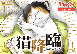 猫降臨