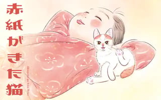 赤紙がきた猫