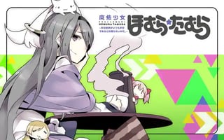 魔法少女ほむら☆たむら ～平行世界がいつも平行であるとは限らないのだ。～