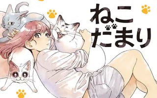 ねこだまり