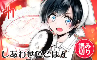 しあわせ色ごはん