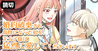 婚約破棄され傷物になった私を、王太子様は猛烈に愛してくださいます。