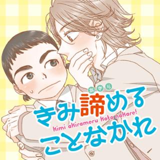 きみ諦めることなかれ