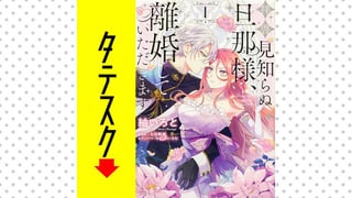 拝啓見知らぬ旦那様、離婚していただきます 【タテスク】