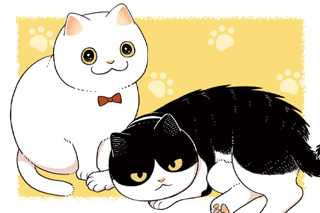 ツレ猫 マルルとハチ