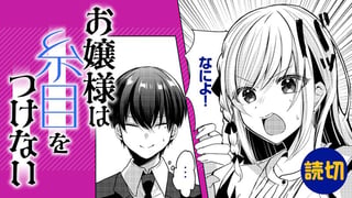 お嬢様は糸目をつけない