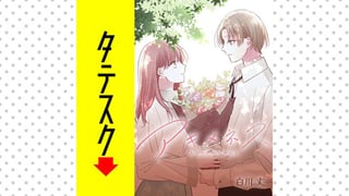 アキメネス【タテスク】