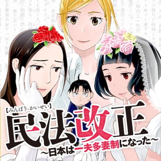 民法改正〜日本は一夫多妻制になった〜