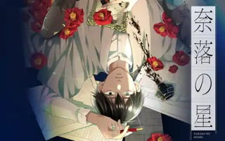 奈落の星