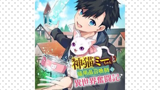 神猫ミーちゃんと猫用品召喚師の異世界奮闘記