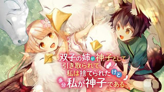 双子の姉が神子として引き取られて、私は捨てられたけど多分私が神子である。