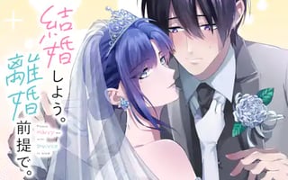 結婚しよう。離婚前提で。