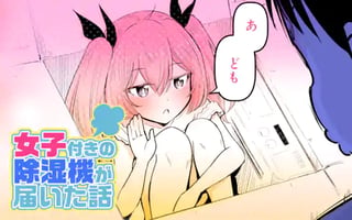 女子付きの除湿機が届いた話