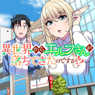 異世界からエルフさんが落ちてきたのですが!?