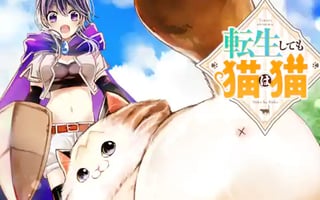 転生しても猫は猫