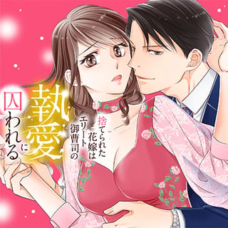 捨てられた花嫁はエリート御曹司の執愛に囚われる