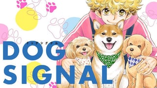 DOG　SIGNAL【タテスク】