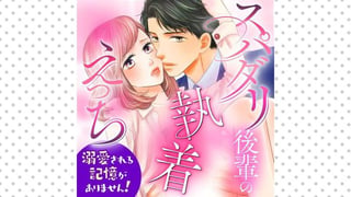スパダリ後輩の執着えっち～溺愛される記憶がありません！～