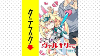 恋に堕とせ！　ヴァルキリーちゃん【タテスク】