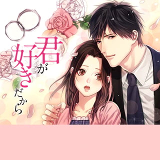 君が好きだから