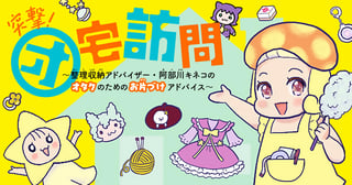 突撃！オ宅訪問～整理収納アドバイザー・阿部川キネコのオタクのためのお片づけアドバイス～