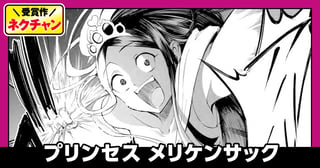 プリンセス メリケンサック(第20回NC奨励賞)