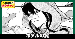 ポダルの翼(第20回NC期待賞)
