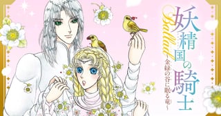 妖精国の騎士Ballad ～金緑の谷に眠る竜～