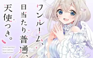 ワンルーム、日当たり普通、天使つき。