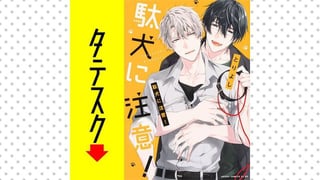 駄犬に注意！【タテスク】