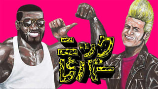 ニックとレバー