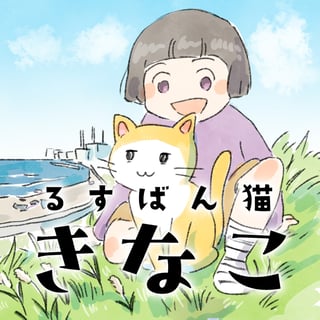 るすばん猫きなこ